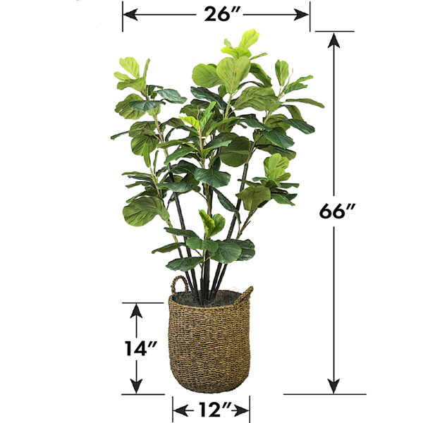 Joss & Main Fiddle Leaf Fig Tree with Basket & Reviews Wayfair